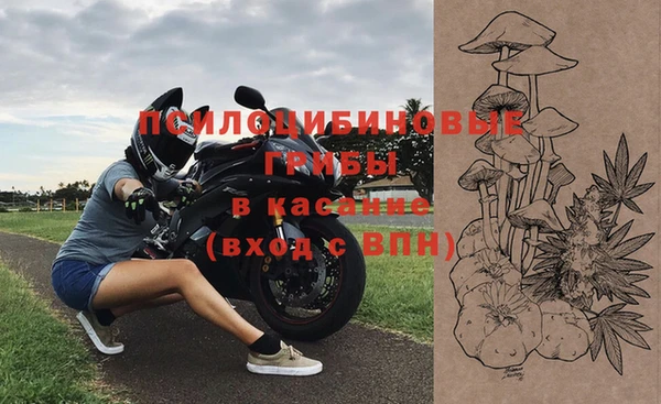 МДПВ Алексеевка